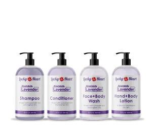 Absolutely Lavender Gift Set