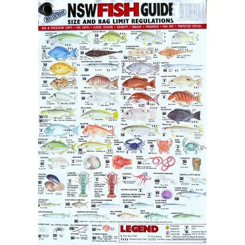 Afn Nsw Fish Id Card