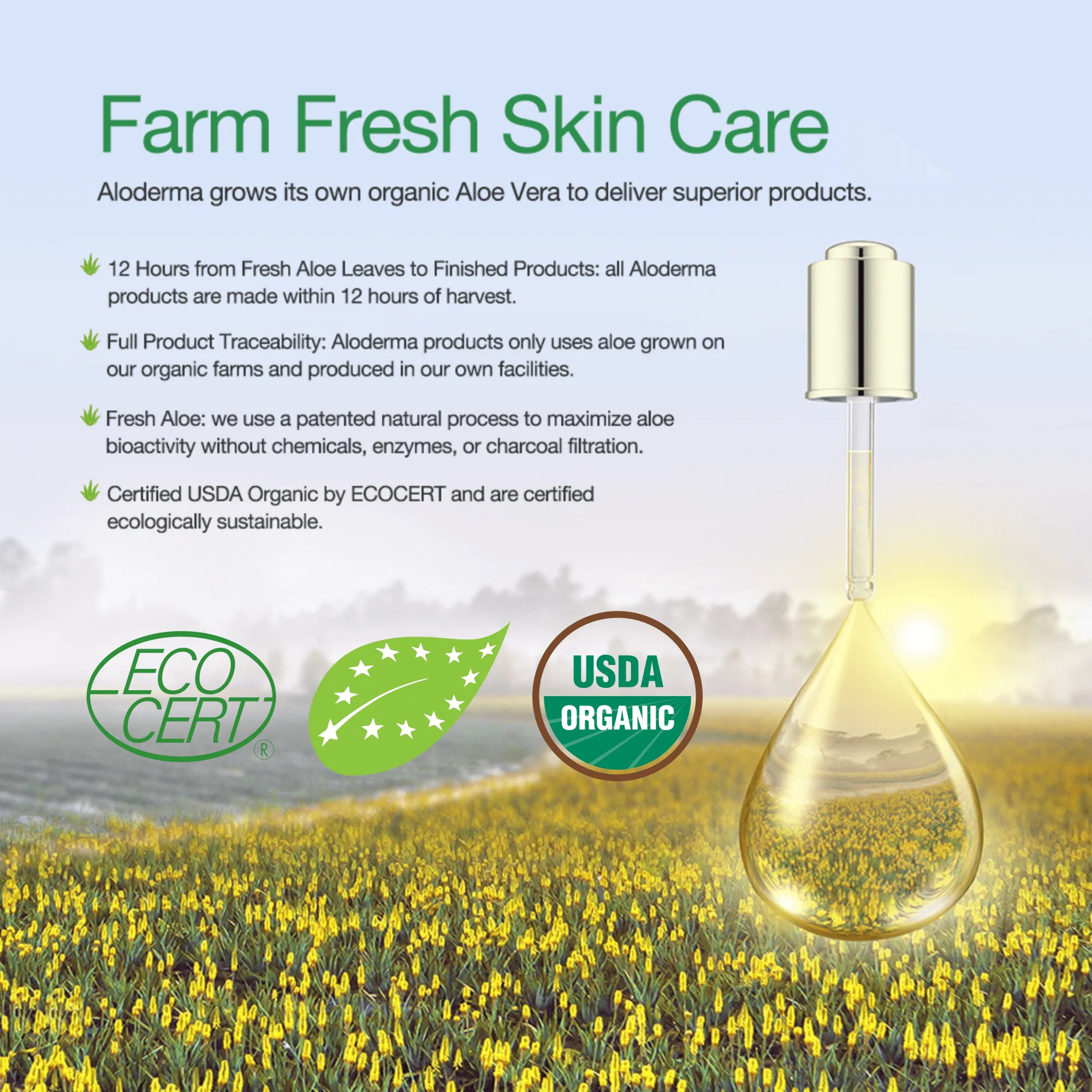 Aloe Clearing Gel